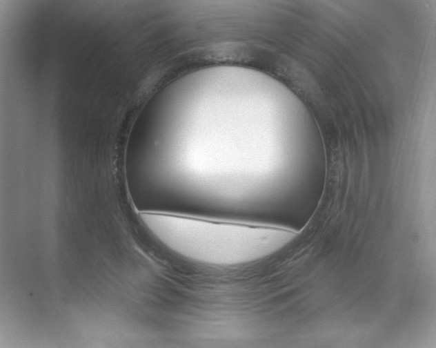 X0000071940255200607071021