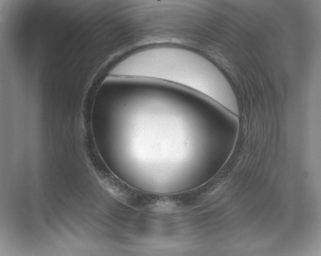 X0000071940256200607071021