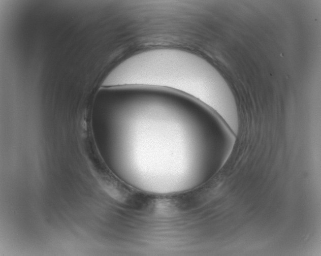 X0000071940264200607071021
