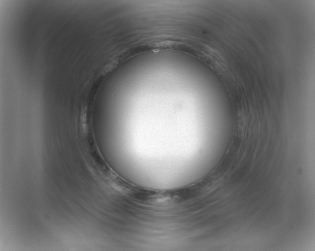 X0000071940267200607071021