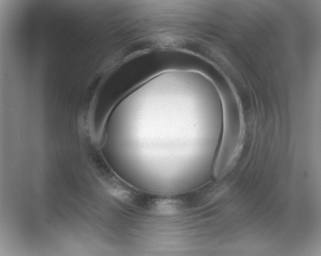X0000071940268200607071021