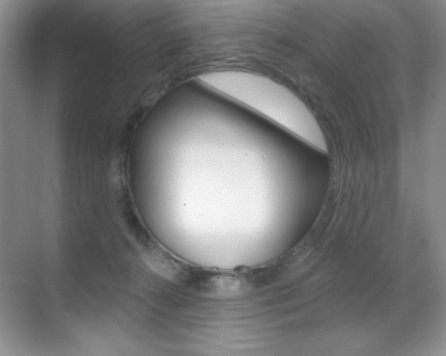 X0000071940272200607071021