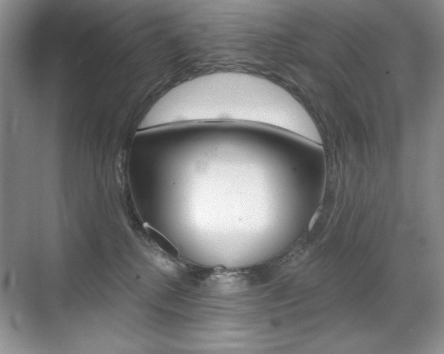 X0000071940280200607071021