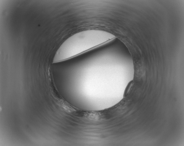 X0000071940282200607071021