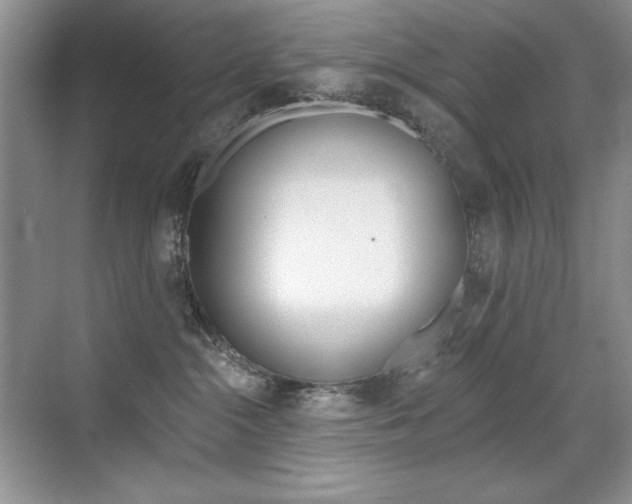 X0000071940284200607071021