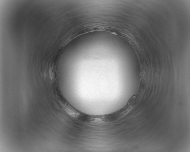 X0000071940285200607071021