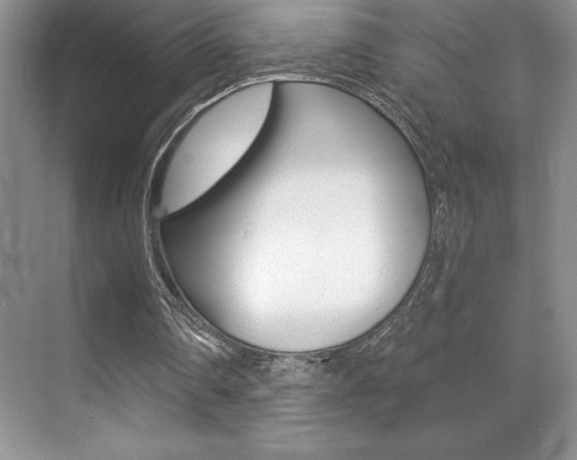 X0000071940290200607071020