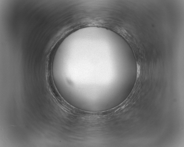 X0000071940291200607071020