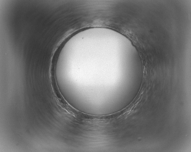 X0000071940292200607071020