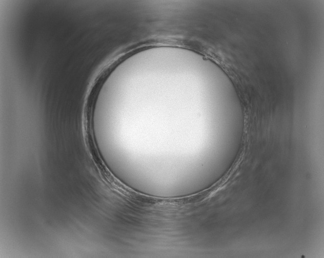 X0000071940294200607071020