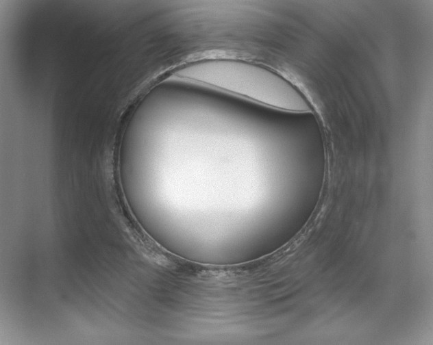 X0000071940297200607071020