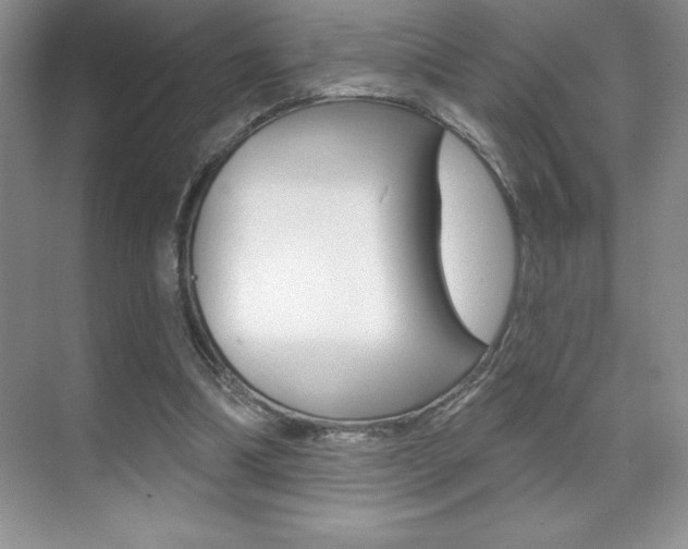 X0000071940298200607071020