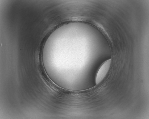 X0000071940299200607071020