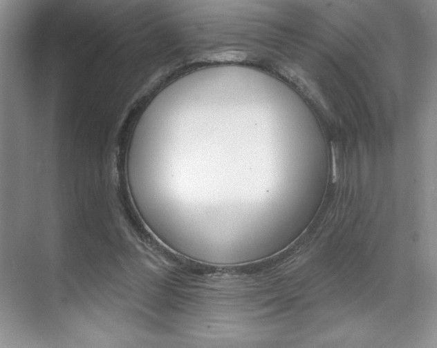 X0000071940300200607071020
