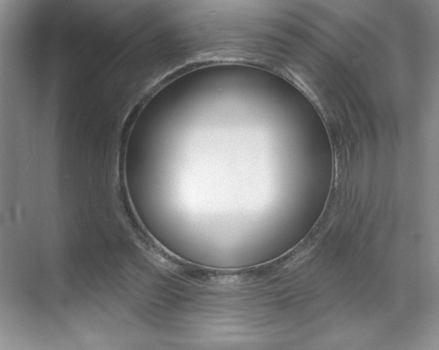 X0000071940301200607071020
