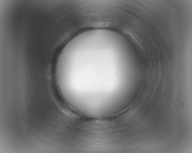 X0000071940303200607071020