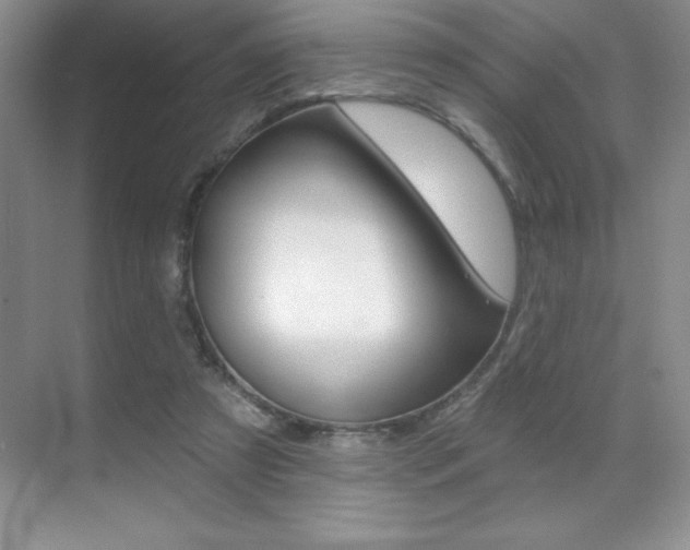 X0000071940305200607071020