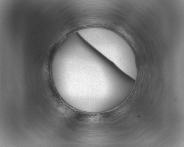 X0000071940306200607071020