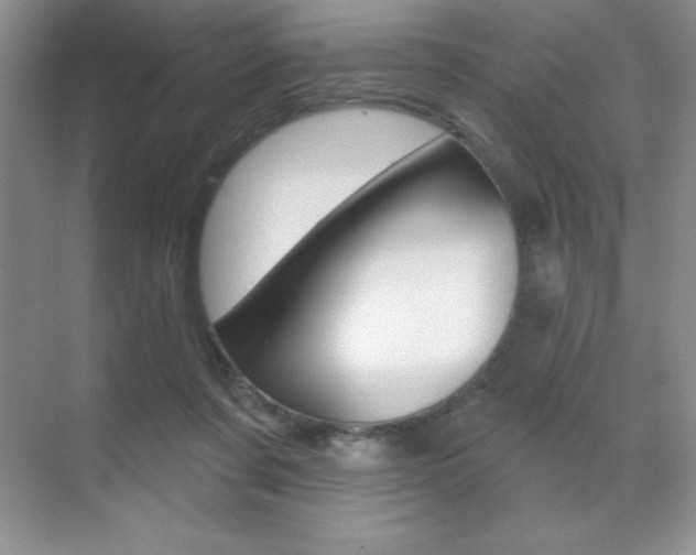 X0000071940311200607071020