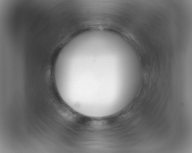 X0000071940314200607071020