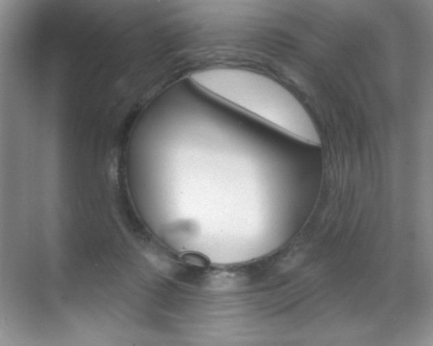 X0000071940315200607071020