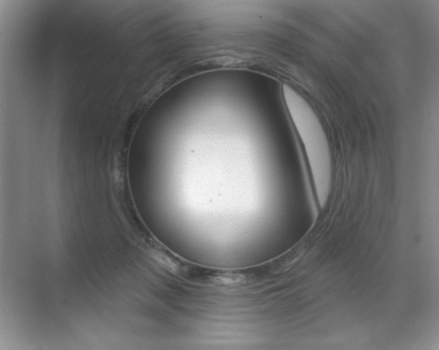 X0000071940317200607071020