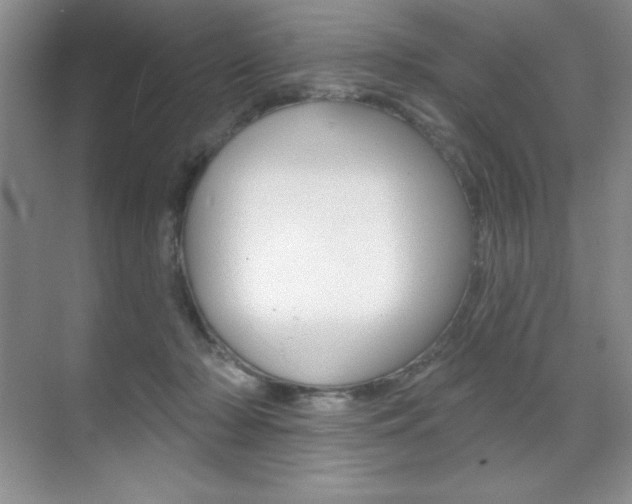 X0000071940318200607071020