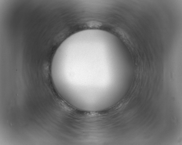 X0000071940321200607071020