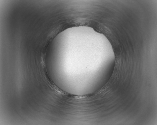 X0000071940335200607071020