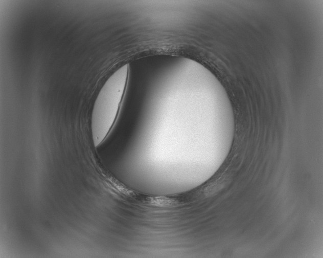 X0000071940336200607071020