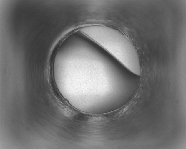 X0000071940342200607071019