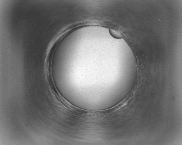 X0000071940343200607071019
