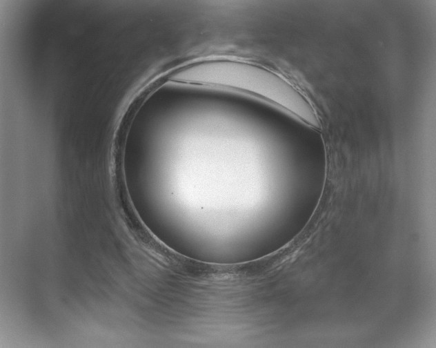 X0000071940344200607071019