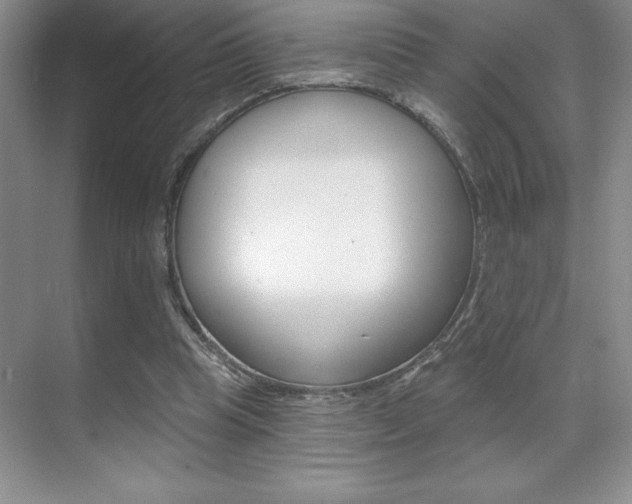 X0000071940345200607071019