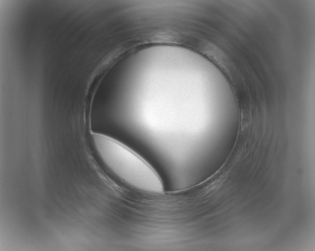 X0000071940349200607071019