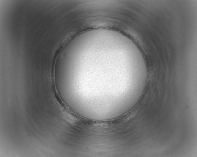 X0000071940353200607071019