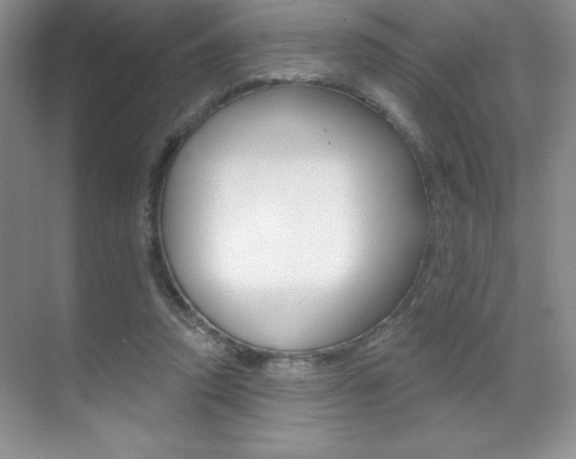 X0000071940354200607071019