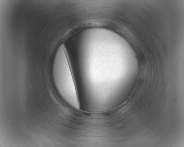 X0000071940358200607071019