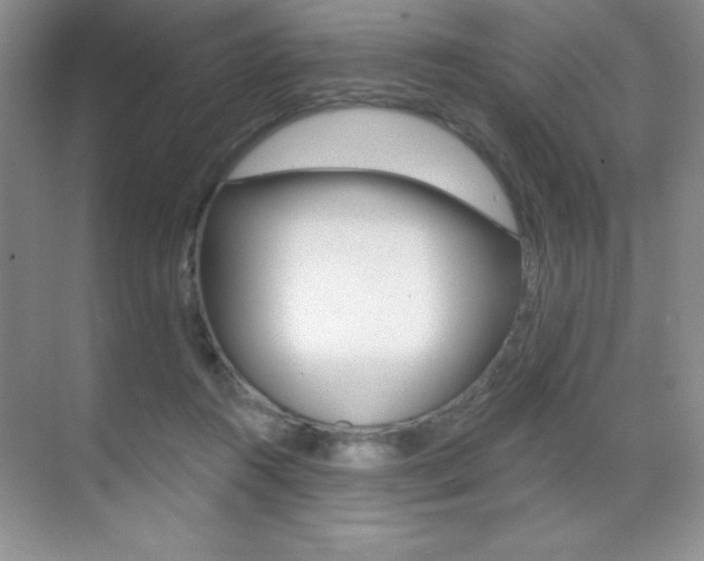X0000071940360200607071019