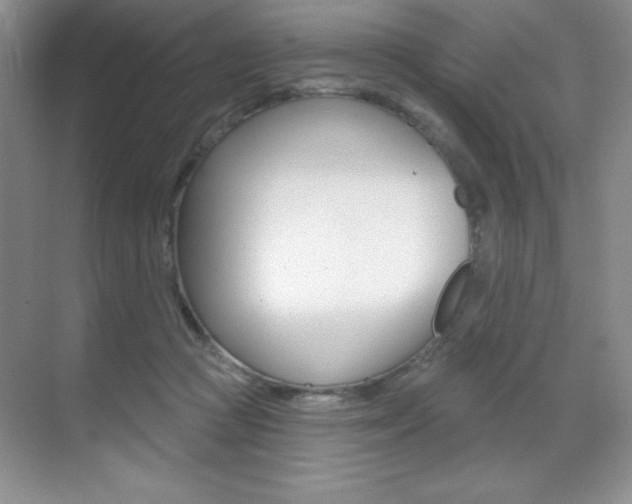 X0000071940361200607071019