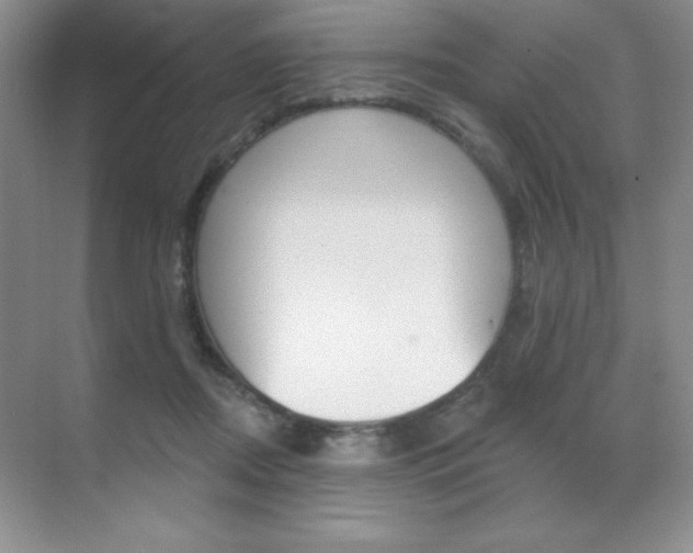 X0000071940362200607071019