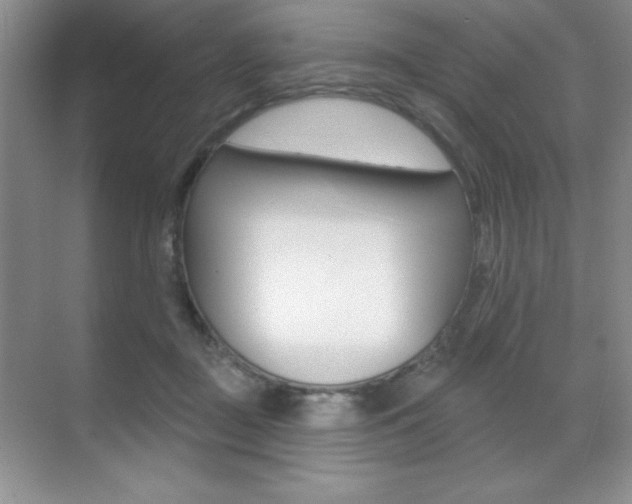 X0000071940363200607071019