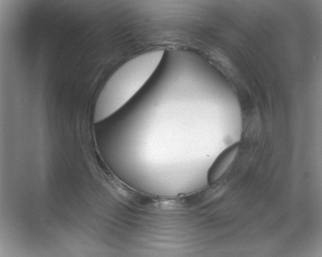 X0000071940365200607071019