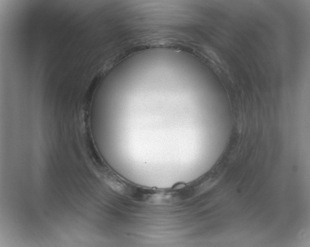 X0000071940366200607071019