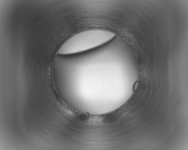 X0000071940369200607071019