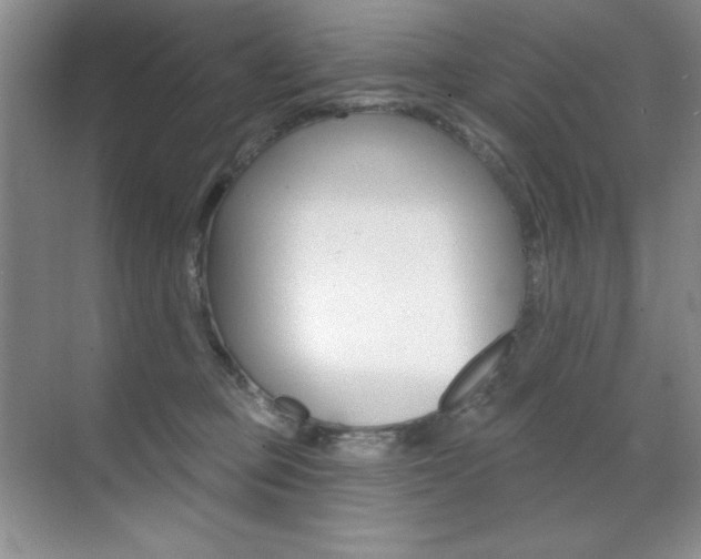 X0000071940373200607071019