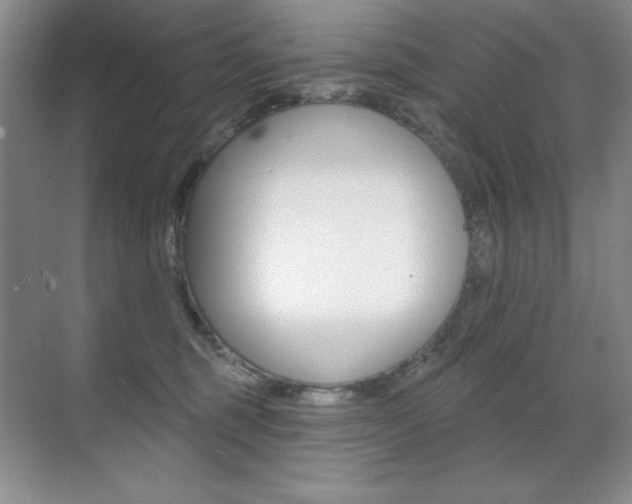 X0000071940375200607071019