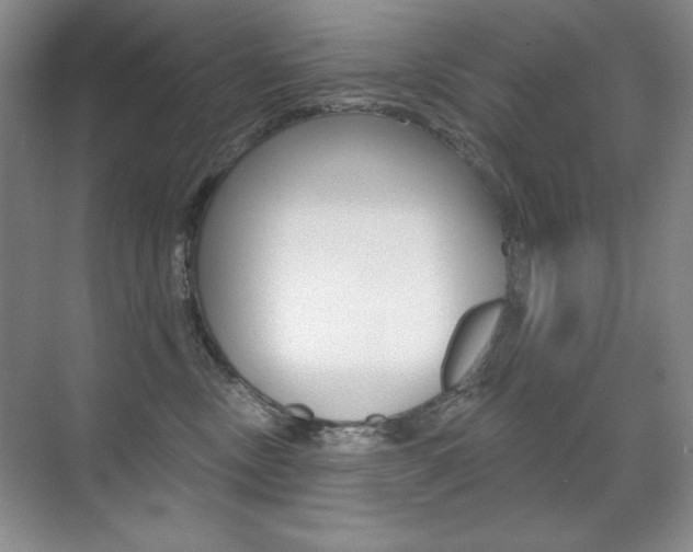 X0000071940378200607071019