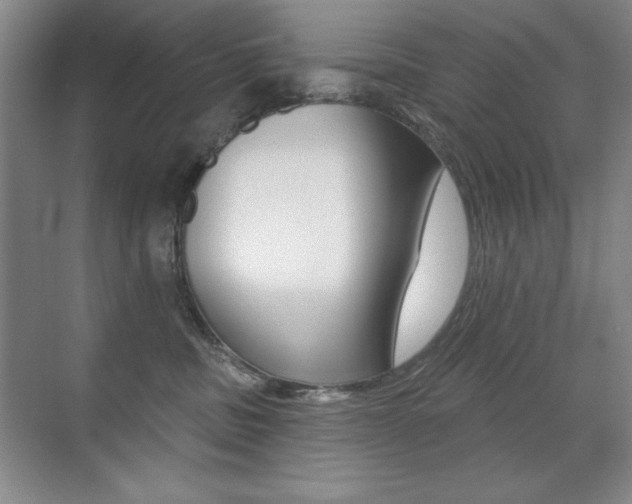 X0000071940379200607071019