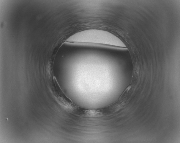 X0000071940380200607071019